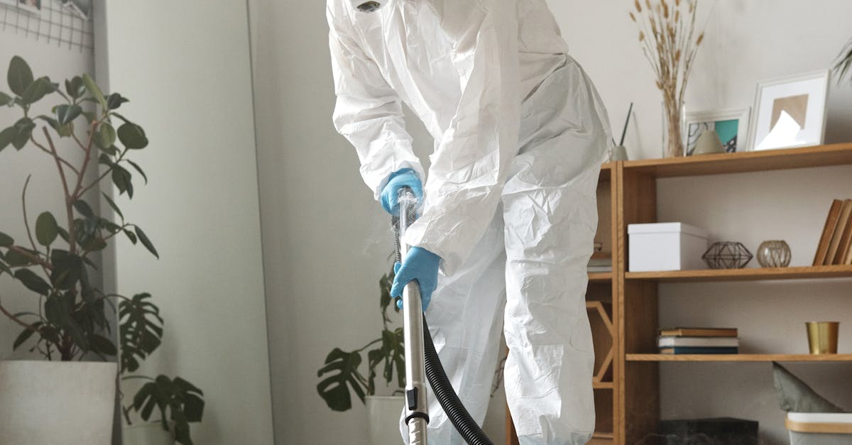 DIY Pre-Treatment Methods for Home Carpet Cleaning