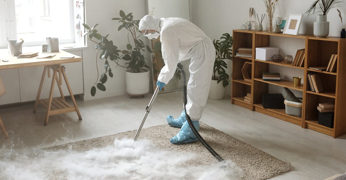 How Regular Carpet Maintenance Benefits Commercial Spaces in Brisbane