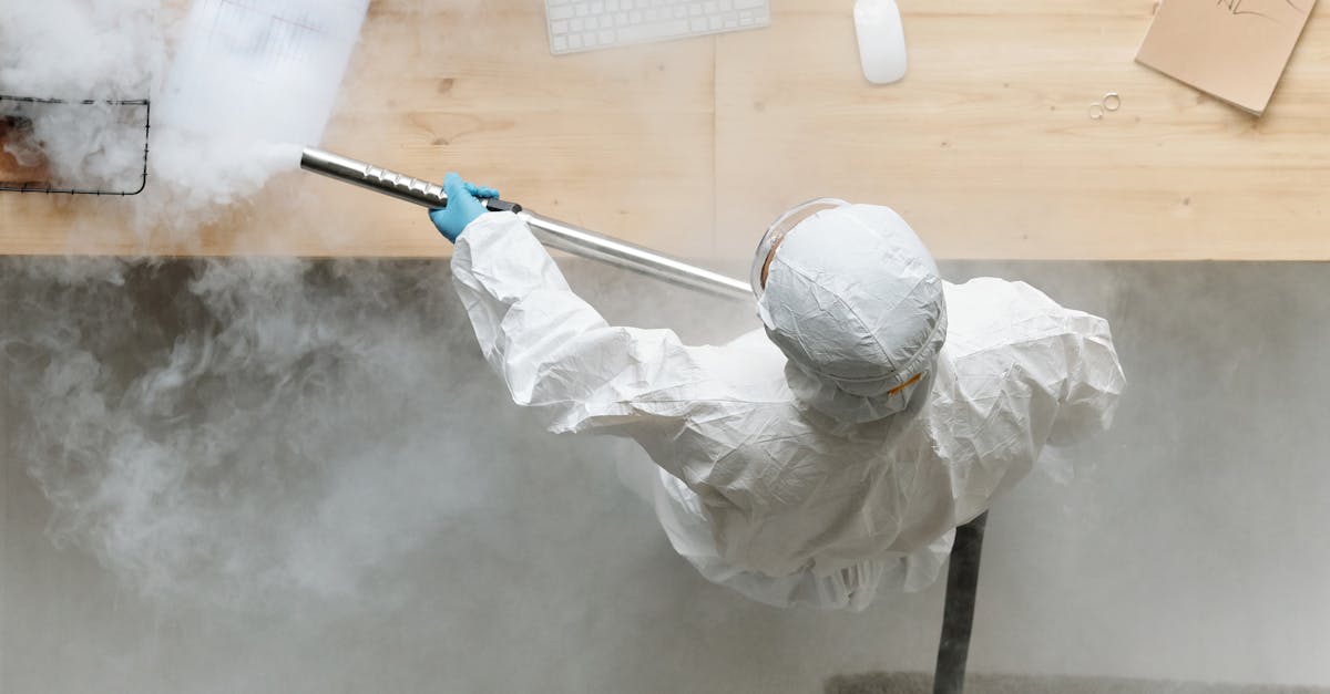 How Residential Carpet Steam Cleaning Can Enhance Your Home’s Hygiene