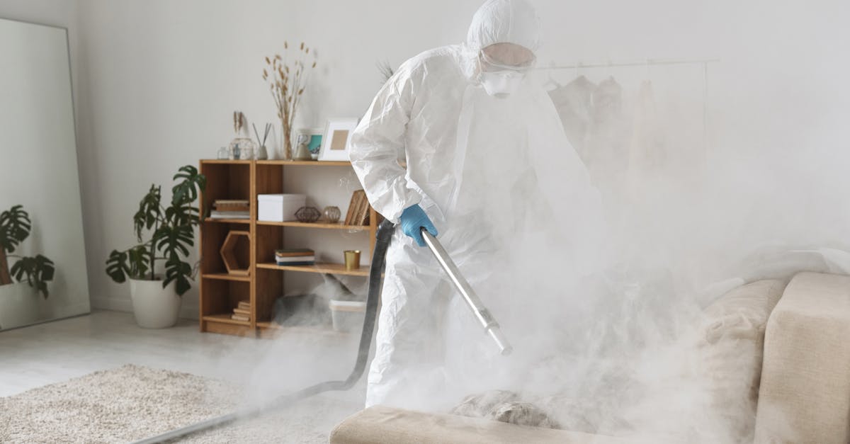 How to Choose the Right End of Lease Carpet Cleaning Service in Brisbane