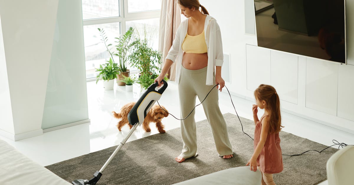 Preventing Stains and Damage After Carpet Steam Cleaning