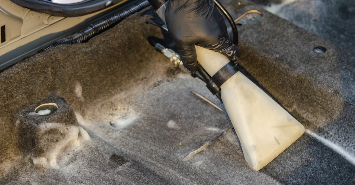 The Connection Between Clean Carpets and Reduced Respiratory Issues