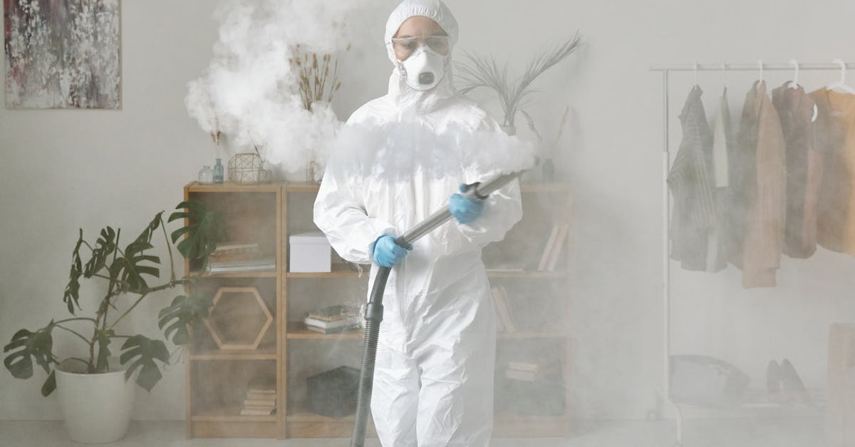 The Economic Justification for Choosing Steam Cleaning Over Traditional Methods