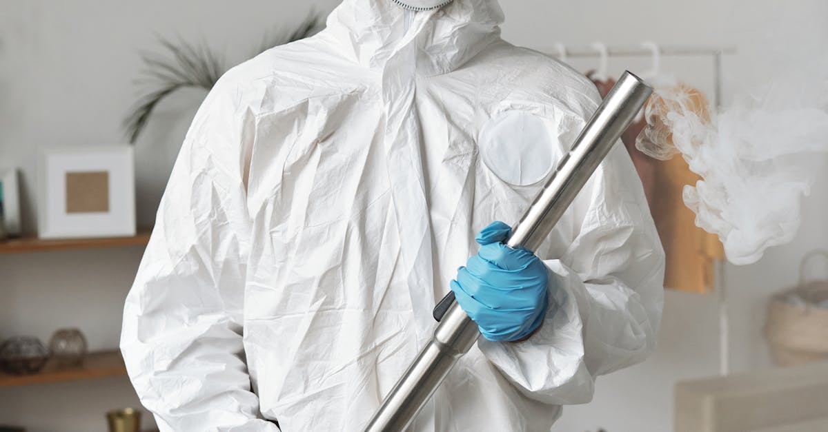 The Importance of Clean Carpets for Allergy Sufferers