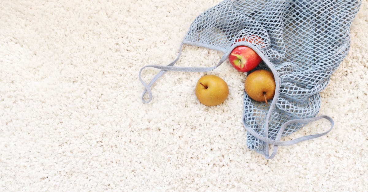 The Process of Dry Steam Cleaning: What to Expect