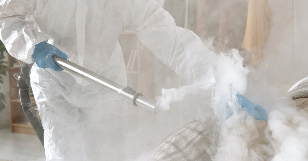 The Role of Carpet Cleaning in Interior Design Appeal