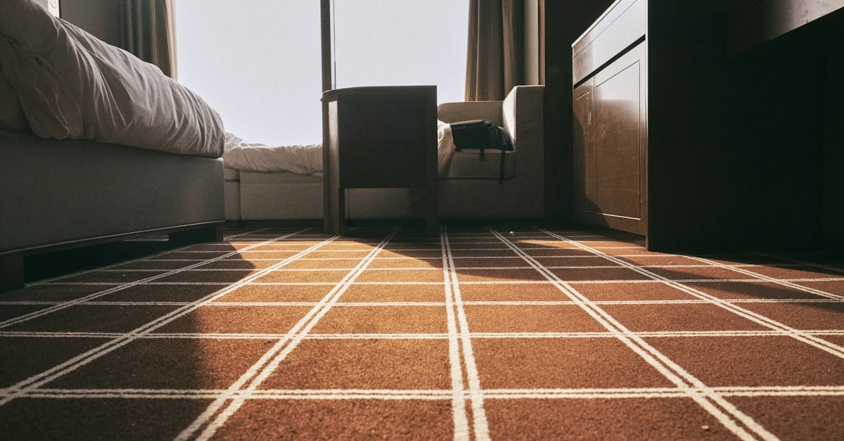 What to Expect from Emergency Carpet Cleaning Services
